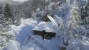 Chalet Pehta Velika Planina - Image 2