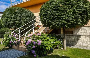 BeeApartments Żywiecka 49 - Image 3