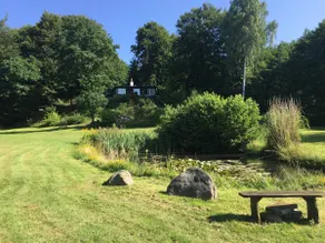 Vejle Fjord panoramic view and forest tranquillity - Image 4