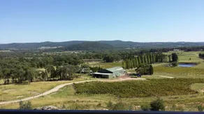 Harrington Glen Estate | Luxury Among the Vines - Image 5