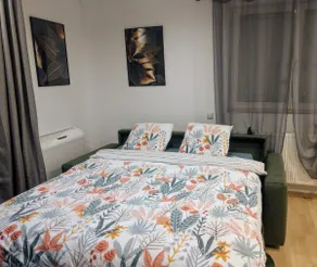 Apartment close to Europa Park, hikes - Image 5