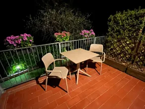 Alessandro's three olive trees - Image 5