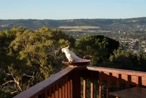 Kinoie Mornington • Ocean • Heart of Mornington - Image 3