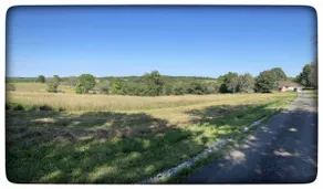 Quiet Country home, nature & fishing -5min to city - Image 4