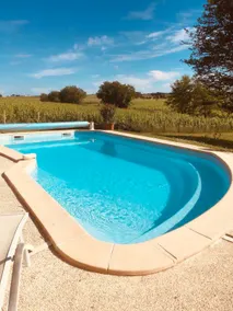 House with magnificent views of Château d'Yquem - Image 4