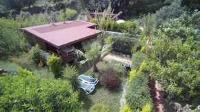 ÇIRALI ORANGE AND LEMON GARDEN - Image 5