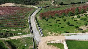 Quinta do Carregal - Image 5