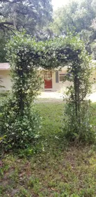Peaceful Private Home with fenced yard in Micanopy - Image 3