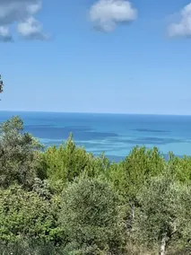 Room with sea view - Image 3