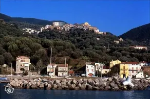 Pallino house, garden and sea view - Image 5