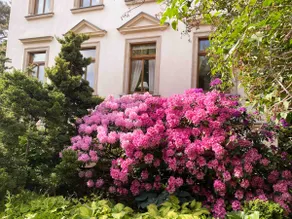 Historic Villa Krumbholz - Image 2