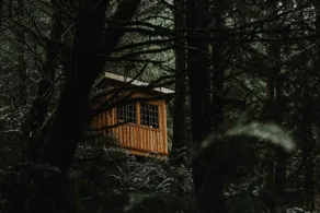 Ferngully Cabins: Cypress Cabin - Image 2