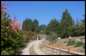 luxury villa in centre of tuscany - Image 5