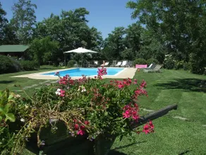 Country House in Green near Civita di Bagnoregio - Image 5