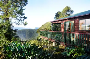 Clouds Forest Chalet - Image 2