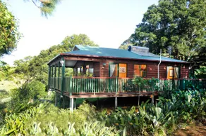 Clouds Forest Chalet - Image 5