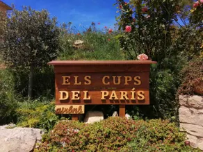 The Cups of Paris - Image 5