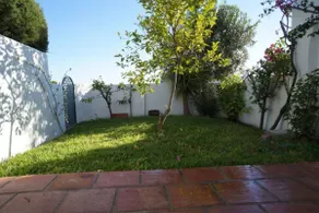 Paraiso Blanco - Image 4