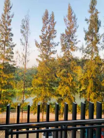 ❤️ ❤️❤️ Lovely 2 Bedrooms at Swiss Garden Residence. - Image 3