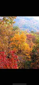 Little Bear Cove in the Enchanted Valley of Young Harris Ga - Image 5