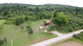 Evergreen house Plitvice - Image 5