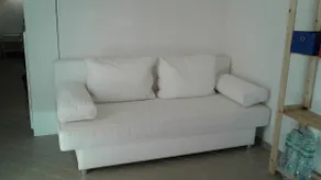 Mimosa - Image 5