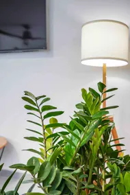 Aqua Breeze- Cozy Retreat in the heart of Arecibo - Image 5