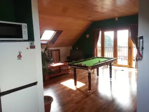 Spacious Apartment, Balcony, Sauna, Pool table etc - Image 2