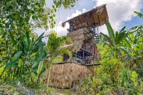 Sloth House /PooL-Jacuzzi BeacH-BirdwatchinG HaveN - Image 5