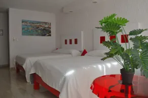 Modern studio on the beach - Image 4