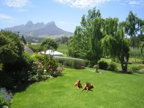 Acara Guesthouse; pool/view, 20 min to CPT airport - Image 5