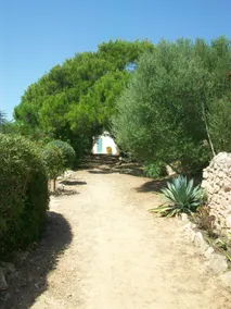 Ca Na Tonina - Image 4