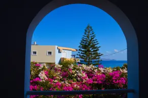 United blue Resorts - White Sand - Image 3