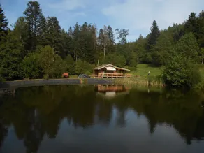 unusual cottage with pond in the middle of the forest - Image 2