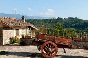 Holiday Toscany in the Strettoio - Image 5