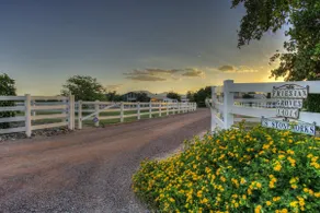 Looking for a unique Ranch Vacation in Surprise” - Image 4
