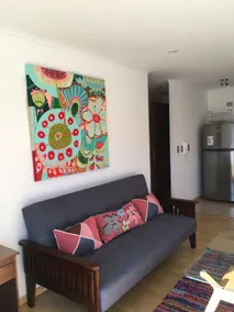 Amazing apartment in downtown Pucón - Image 3