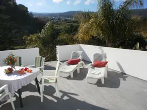 Finca las Palmeras - Image 3