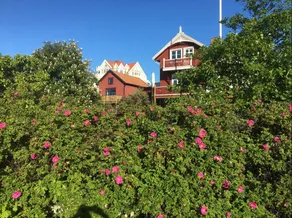 A unique house with sea view - Image 2