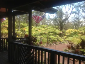 VOLCANOES NATIONALPARK GEÖFFNET!  PRIVATE 3-ACRE ESTATE, 3 LUXUS-SUITEN, HOT TUB - Image 4