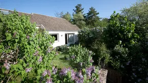 LA TERRE D'OR Beaune - Les Pins Cottage - Image 2