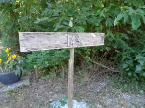 Peaceful lakeview with dock* and dog run - Image 3
