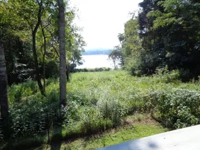 Peaceful lakeview with dock* and dog run - Image 5
