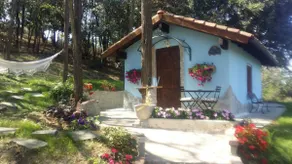 House in the original grove - Image 3