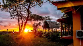 Playa Nido Rosa - Beachfront + Pool + Private Palapa - Image 4