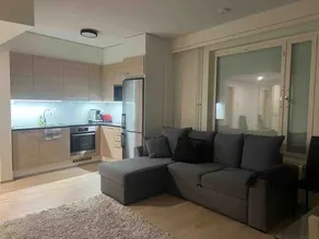 Modern city apartment with Sauna nearby the Airport - Image 2