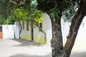 Oliveira Country House - Image 4