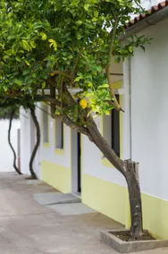 Oliveira Country House - Image 5