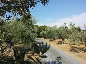 Tenuta la Valle - Tuscany Experience - Image 2