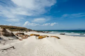 Saltworks Beach House - fun with family & friends - Image 2